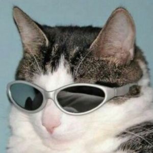 Meet your Posher, Seth